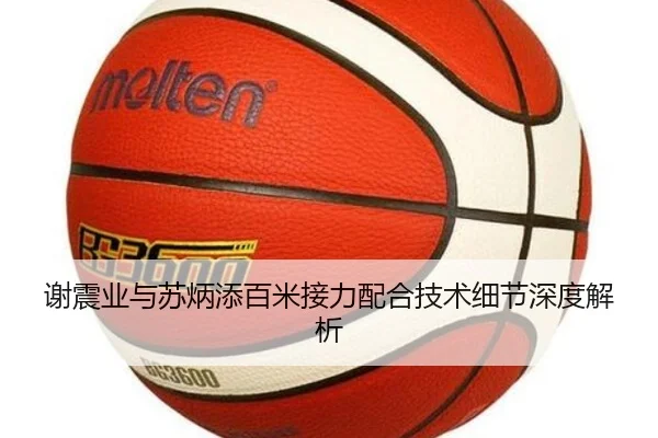 谢震业与苏炳添百米接力配合技术细节深度解析